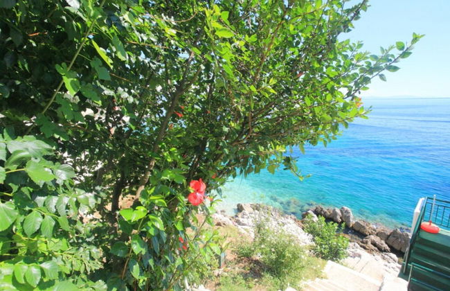 Alexandra Studio in Katavolos - Foto 15