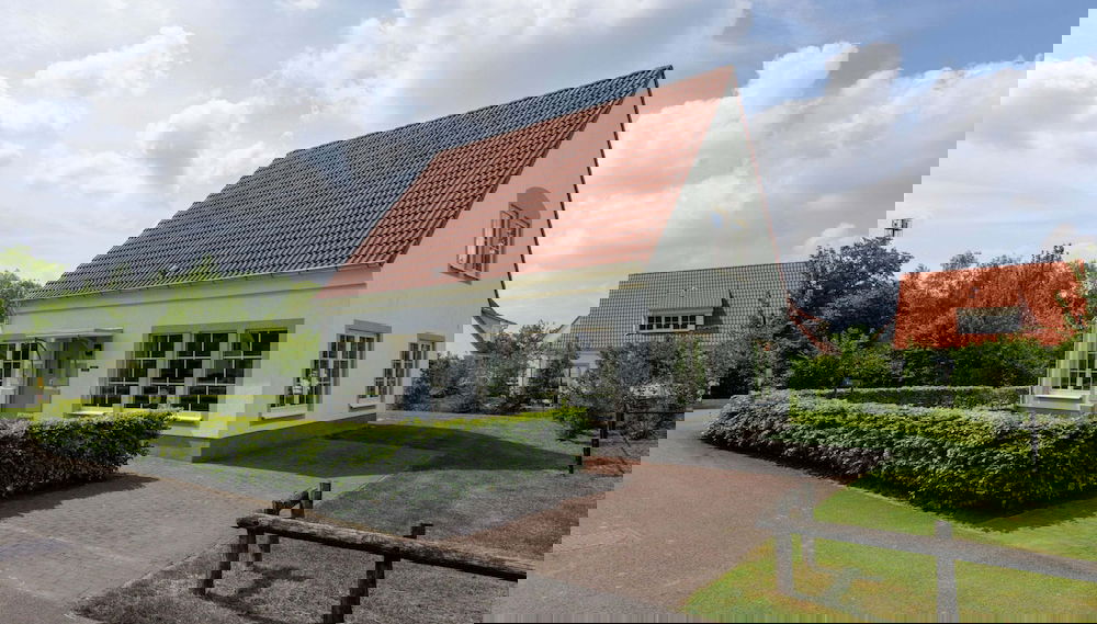 Imagem principal