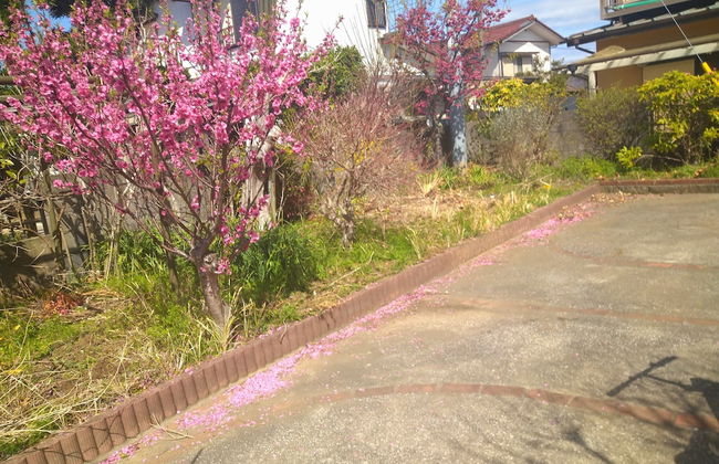 Bettei Tateyama - Photo 3