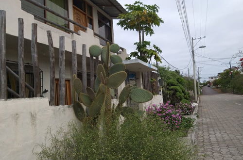 Photo 13 - Villa Galapagos