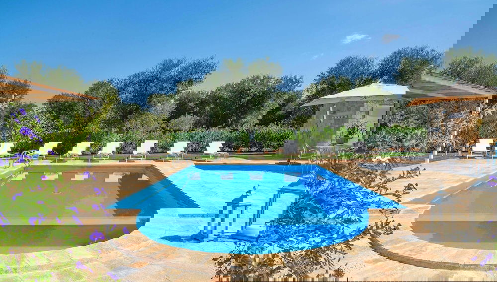 Image principale