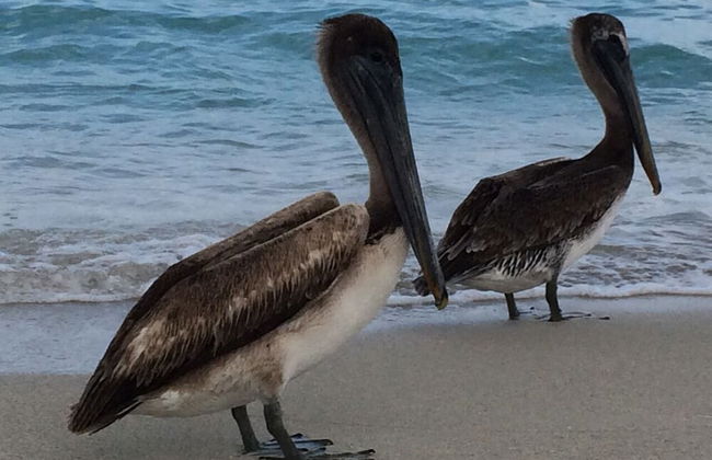 Casa Oceanview 1 - Luxury & Amazing View - Foto 57