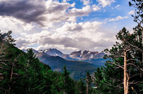 Photo 22 - Comfortable Home | Close to Rocky Mtn Natl Park