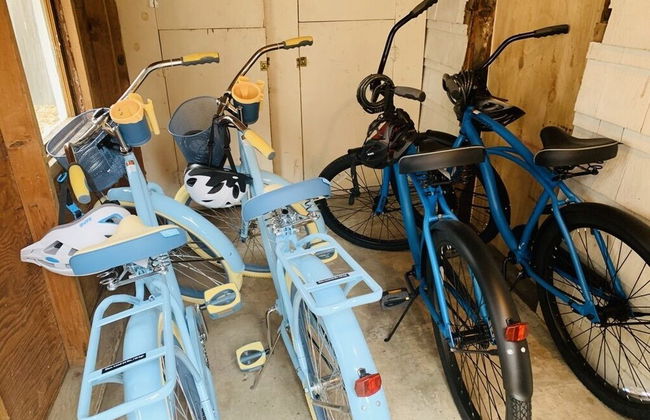 Inviting Bungalow Next to Unc - Free Cruiser Bikes! - Photo 15