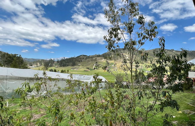 Estancia Jardín de Teresita - Foto 33