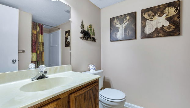 Comodidade do alojamento