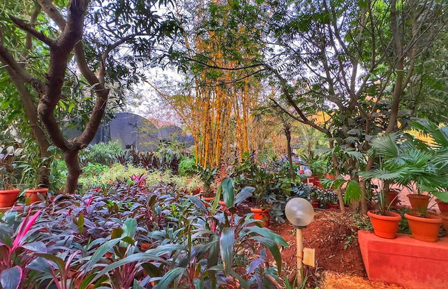 Peace Lily Cottage - Foto 32