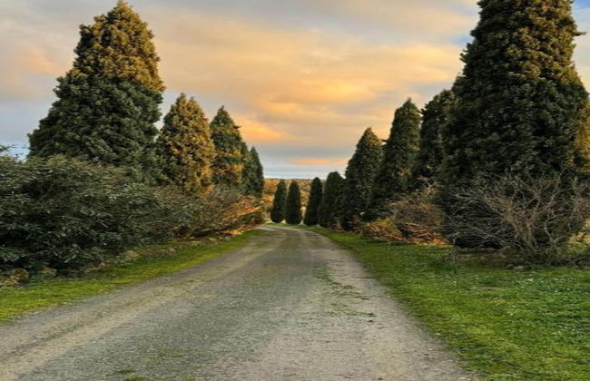 Villa in Tuscany With Pool and Hot Tub - Foto 28