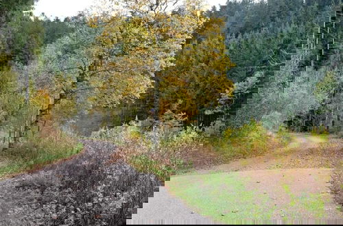 Photo 35 - Apartment on the Edge of the Forest