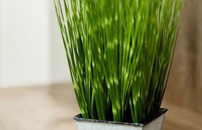 Rose d'Opera Hotel - Photo 40