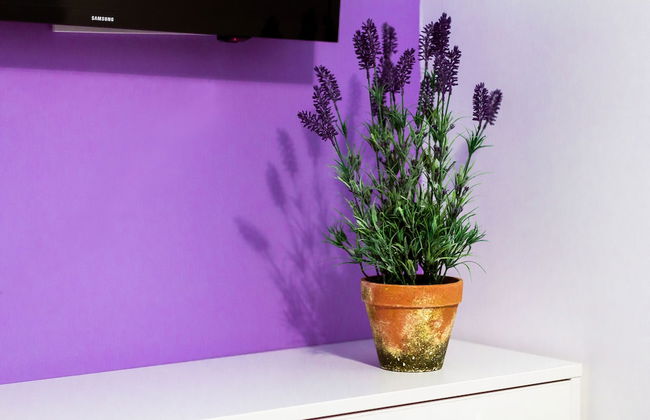 Rose d'Opera Hotel - Photo 24