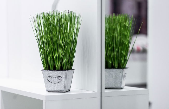 Rose d'Opera Hotel - Photo 13