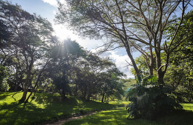 Eden Estates & Boutique Lodge - Foto 29