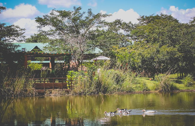 Eden Estates & Boutique Lodge - Foto 48