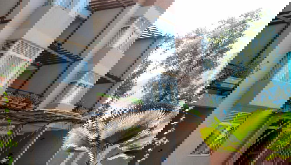 Image principale