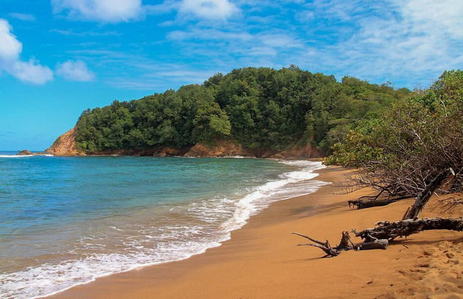 Les studios de la baie - Foto 22