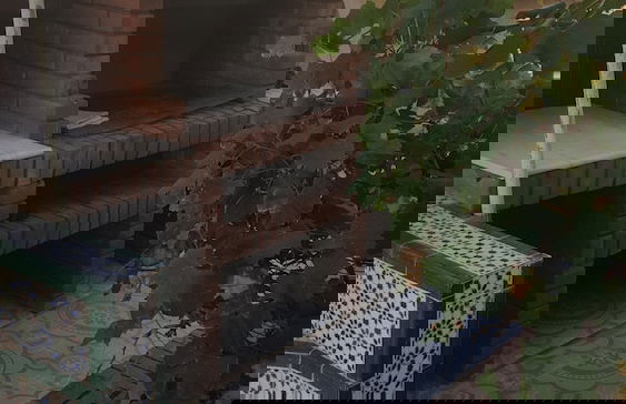 ExperienceAlgeria - Foto 17