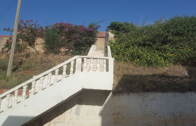 ExperienceAlgeria - Foto 15