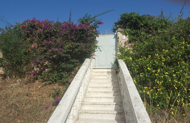 ExperienceAlgeria - Foto 16