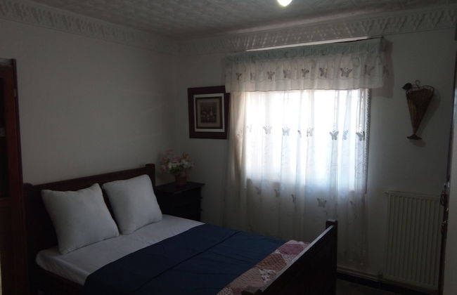 ExperienceAlgeria - Foto 5