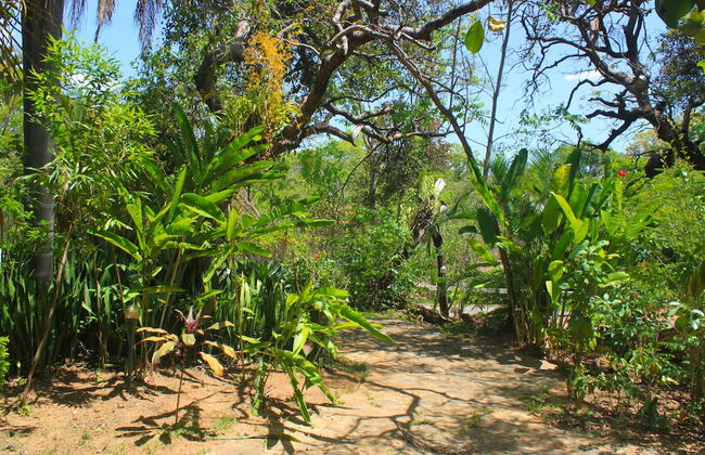 Hotel Tia Dora - Foto 64
