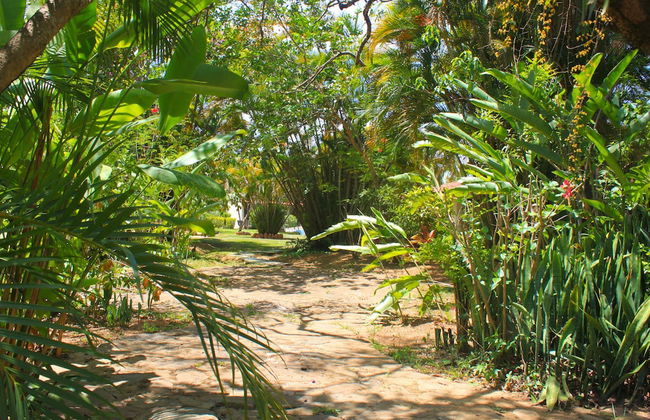Hotel Tia Dora - Foto 65