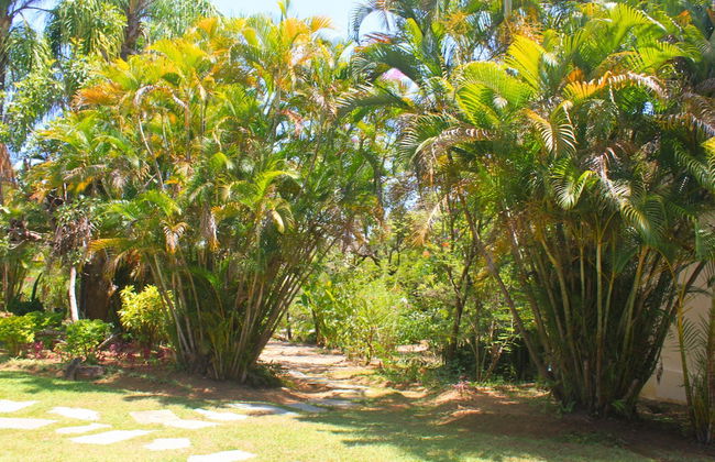 Hotel Tia Dora - Foto 60