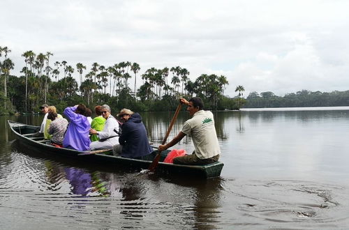 Photo 37 - Pokakempi Tours