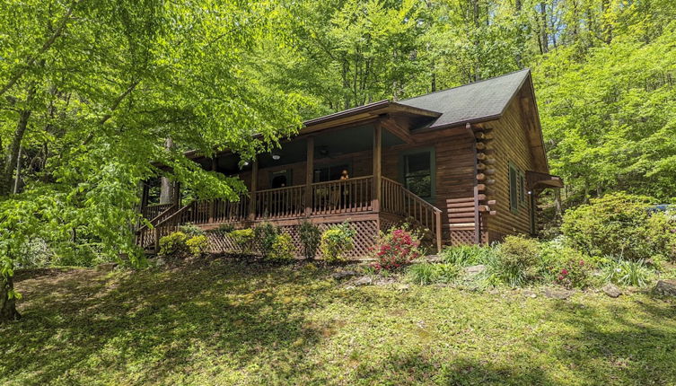 Foto 1 - Cozy Blue Ridge Mountain Cabin on 18 Acre Lot