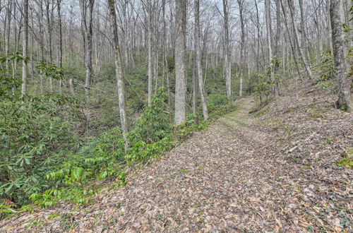 Photo 33 - Cozy Blue Ridge Mountain Cabin on 18 Acre Lot