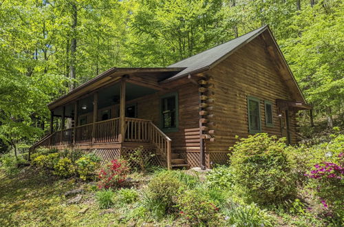 Foto 6 - Cozy Blue Ridge Mountain Cabin on 18 Acre Lot