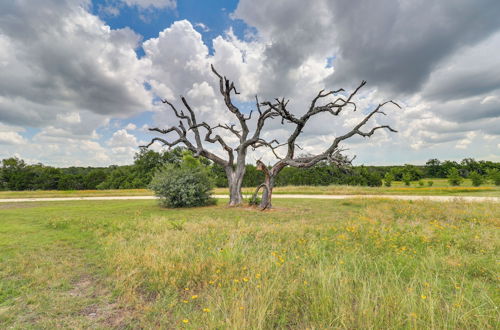 Photo 35 - Bertram Ranch Property w/ Acreage & Trail Access