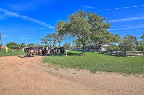 Photo 12 - Historic 'hoffmann Ranch Haus' Near Wineries