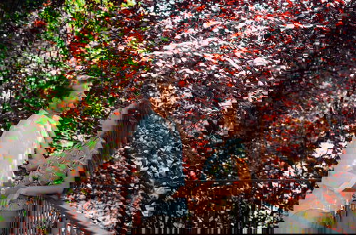 Photo 10 - Treelodgy