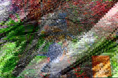 Photo 1 - Treelodgy