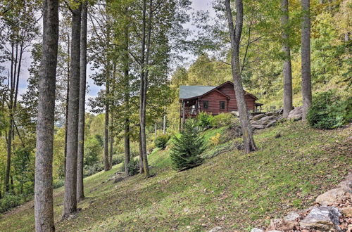 Foto 33 - Cabin w/ BBQ + Games - Walk to Blue Ridge Parkway