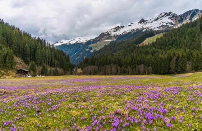 Apartment Neustift Near Stubai Ski Lift - Foto 30