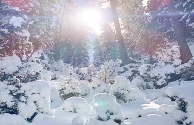 Apartment Neustift Near Stubai Ski Lift - Foto 15