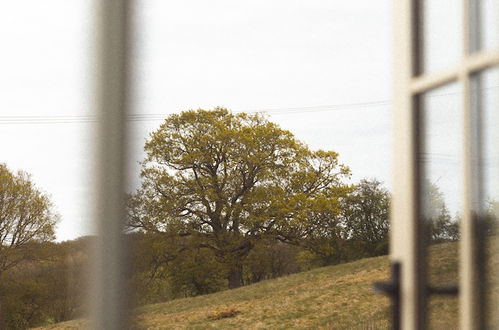 Photo 50 - Dog Friendly Shepherd's Hut, Perfect for Couples