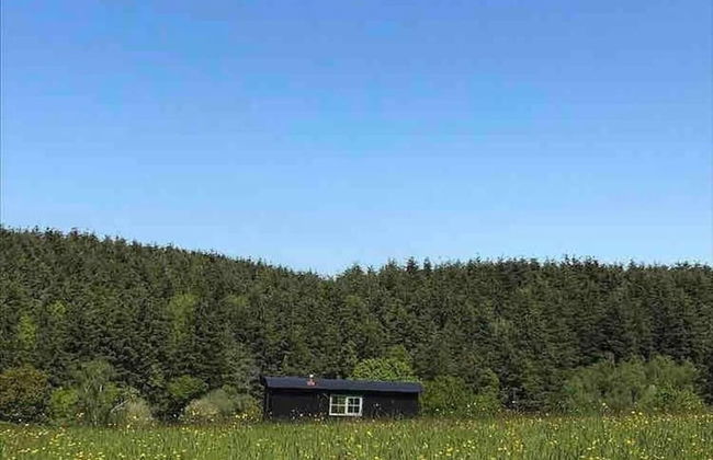 Dog Friendly Shepherd's Hut, Perfect for Couples - Foto 34