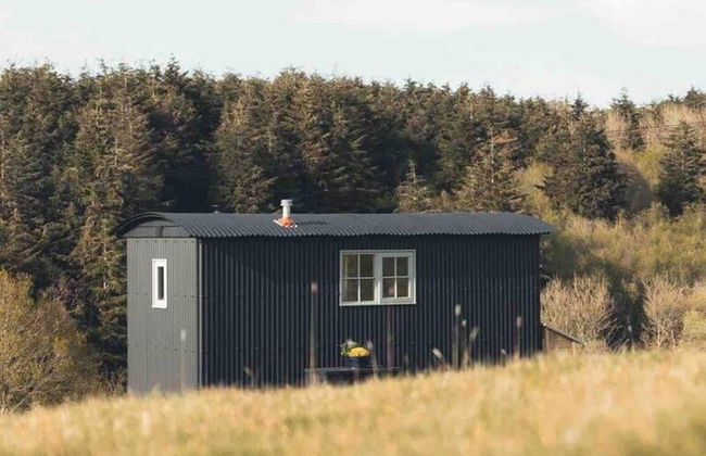 Dog Friendly Shepherd's Hut, Perfect for Couples - Foto 50