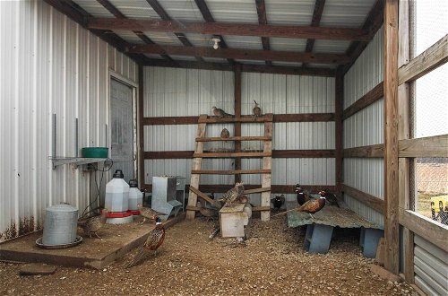 Photo 32 - Pheasant Game Farm Missouri Vacation Rental