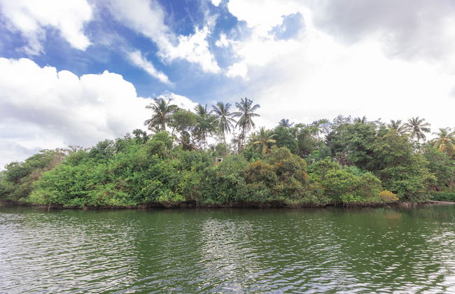 Serendipity Lake - Hikkaduwa - Foto 41