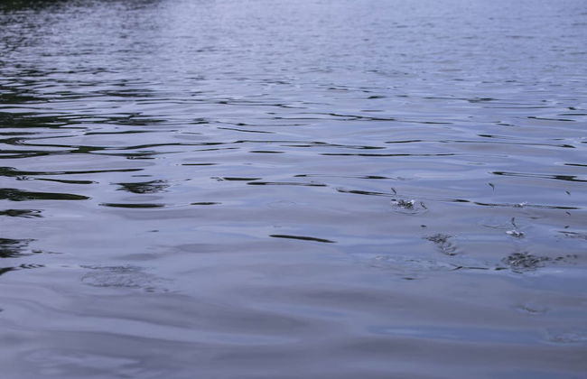 Serendipity Lake - Hikkaduwa - Foto 43