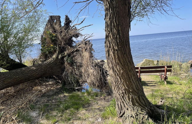 Villasleeps23-gaden-parking-partiesok-lake - Foto 10
