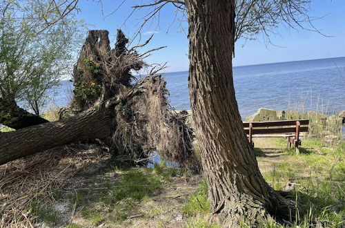 Photo 30 - Kopice Nature Residence Near Lake Dabie