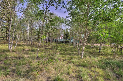 Photo 8 - Secluded Como Cabin w/ Hiking Access On-site