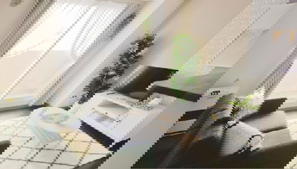 Imagem principal