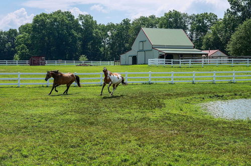 Photo 9 - Renovated Bunkhouse on 12-acre Horse Farm