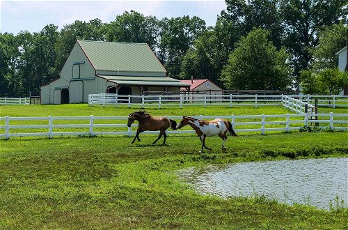 Photo 26 - Renovated Bunkhouse on 12-acre Horse Farm